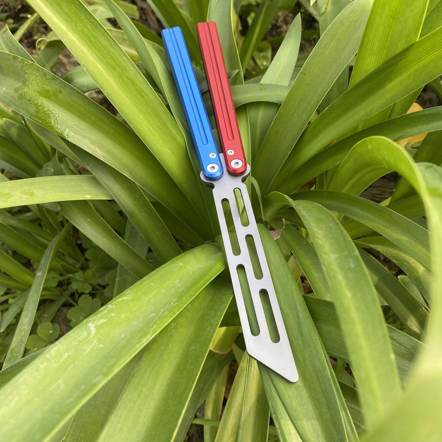 Blue Red Trainer Butterfly Knife