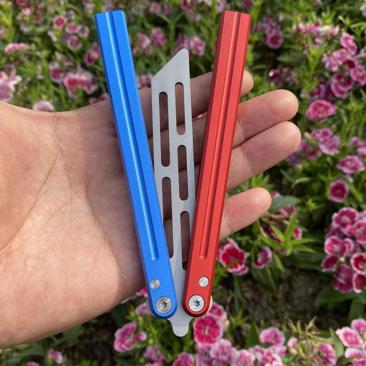 Blue Red Trainer Butterfly Knife
