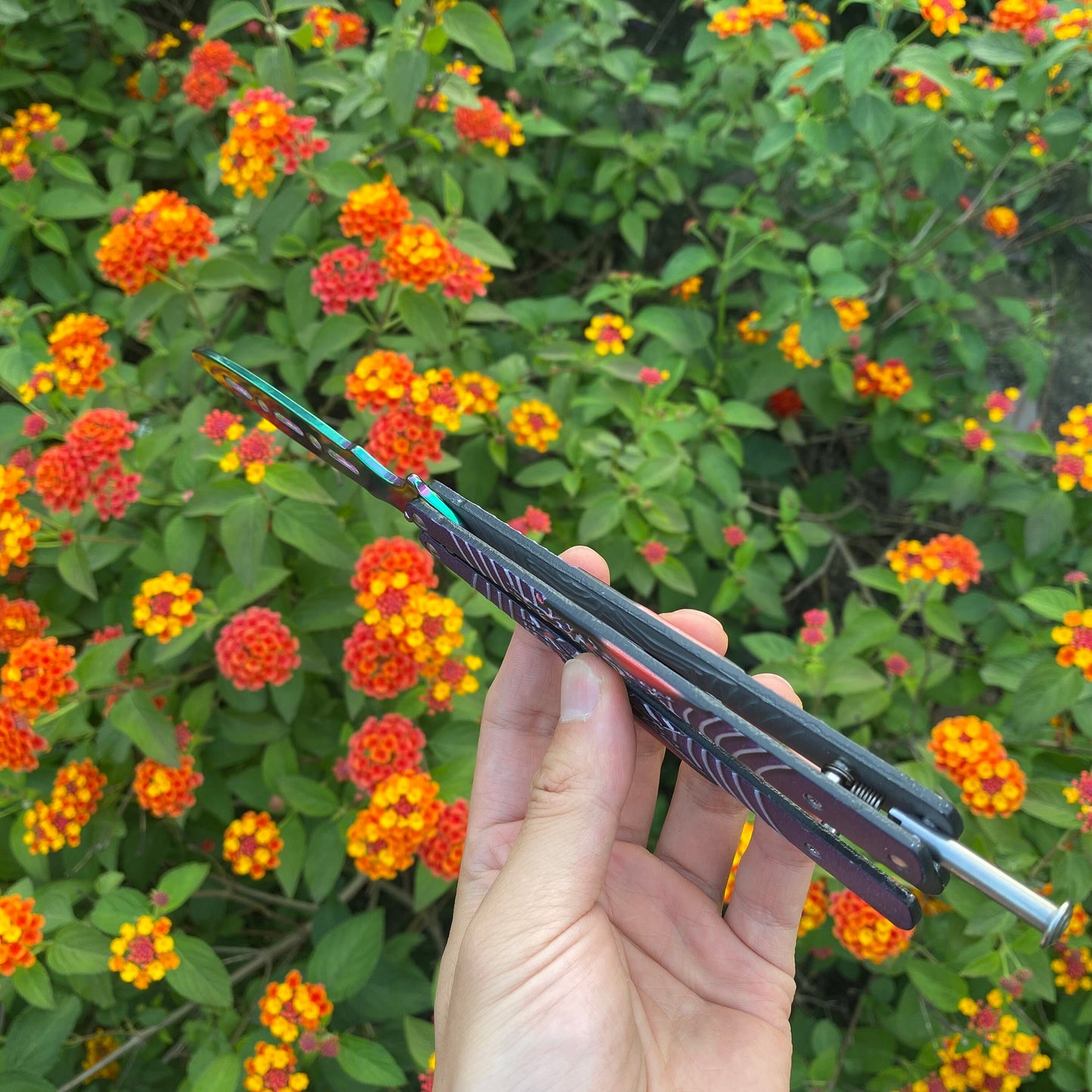 Colore Spider Sculpture Butterfly Knife